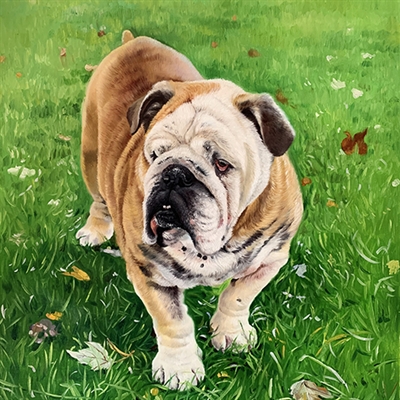 Hand Painted Dog Oil Portrait from Photo,by myDaVinci - myDaVinci